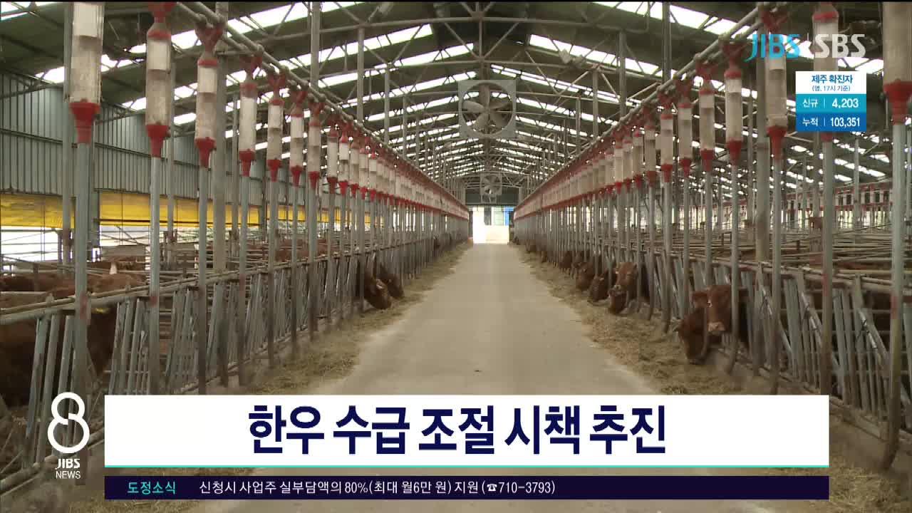 JIBS | 뉴스 다시 보기 코로나19 확산에 방역 현장  번아웃
