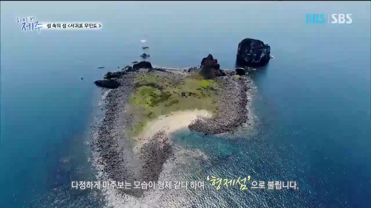 JIBS | 정규프로그램 하이 제주