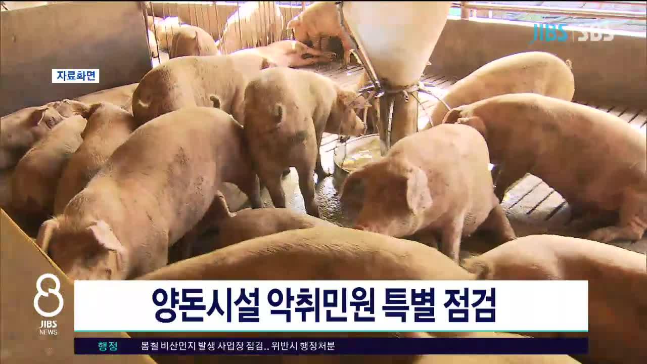 JIBS | 뉴스 다시 보기 양돈시설 악취민원 특별 점검